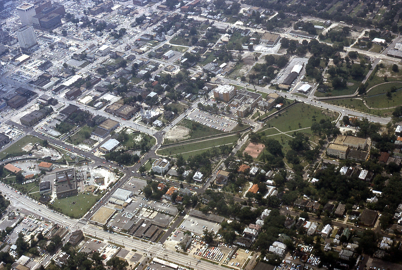 THE JAXSON | The oak tree that remembers Black Bottom — Jacksonville Today, Williston Schools news